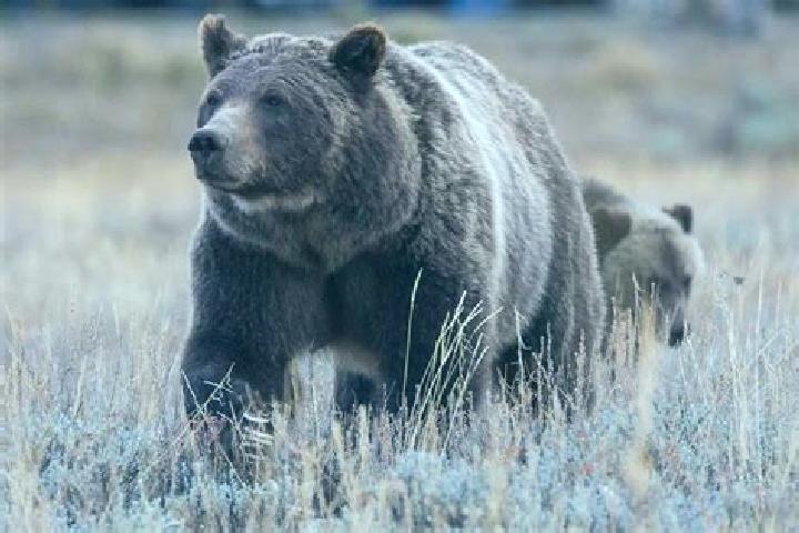 Hannah, 20 — Escort in Bear, United States