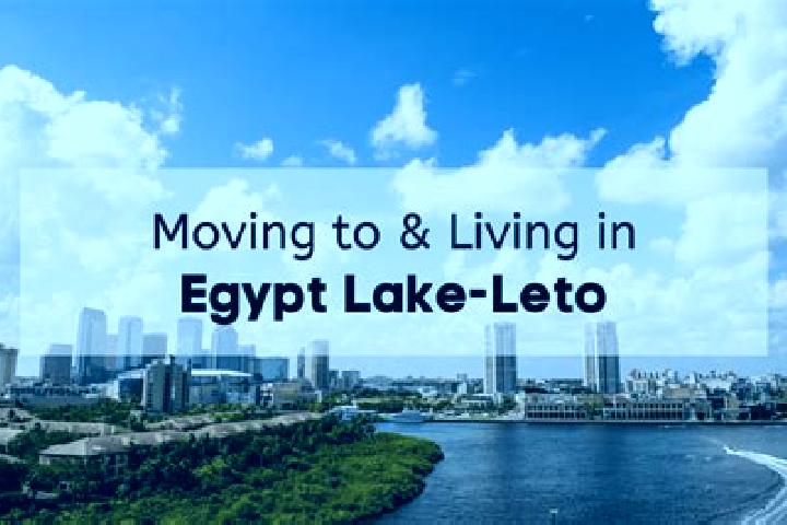 Hannah, 20 — Escort in Egypt Lake-Leto, United States