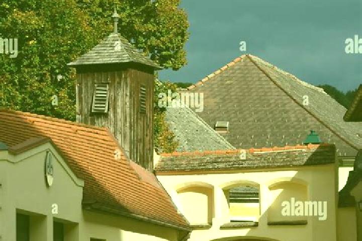 Hannah, 21 — Escort in Kirchschlag in der Buckligen Welt, Austria
