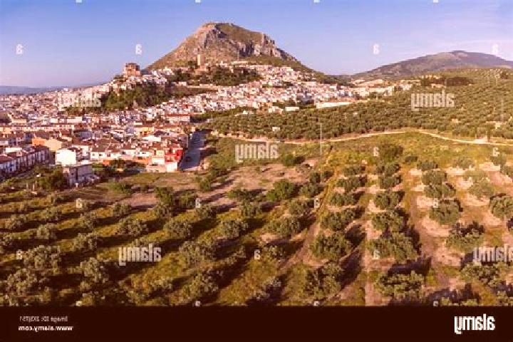 Hannah, 22 — Escort in Fuensanta de Martos, Spain