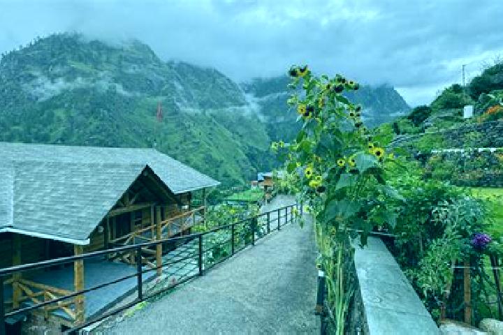 Hannah, 22 — Escort in Joshimath, India