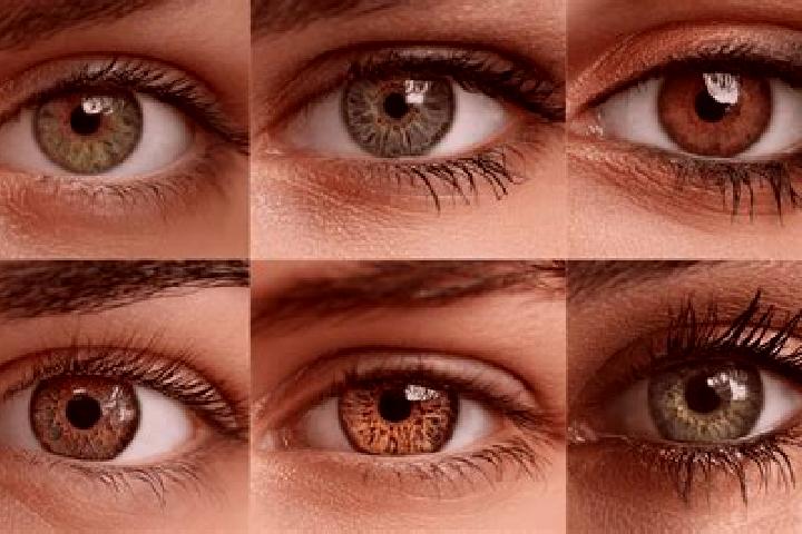 Hannah, 23, a red hazel-eyed european companion based in Norman. Offering OWO, Tantra, Prostate Massage, GFE. Available for incall and outcall, day and eveni...
