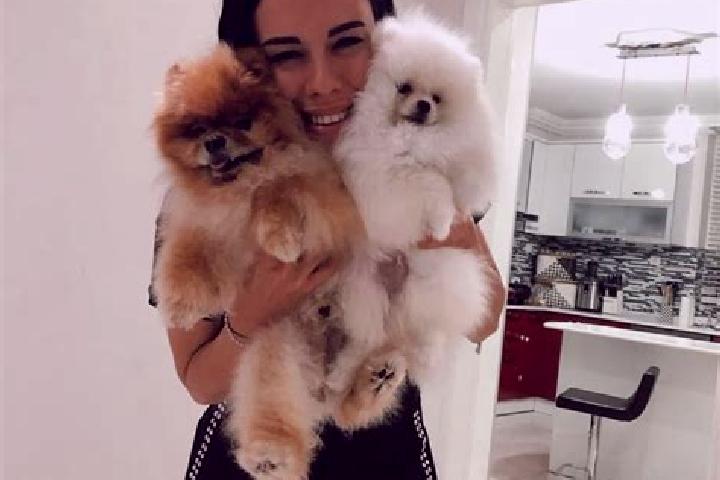 Hannah, 23 — Escort in Akcakoyun, Turkey