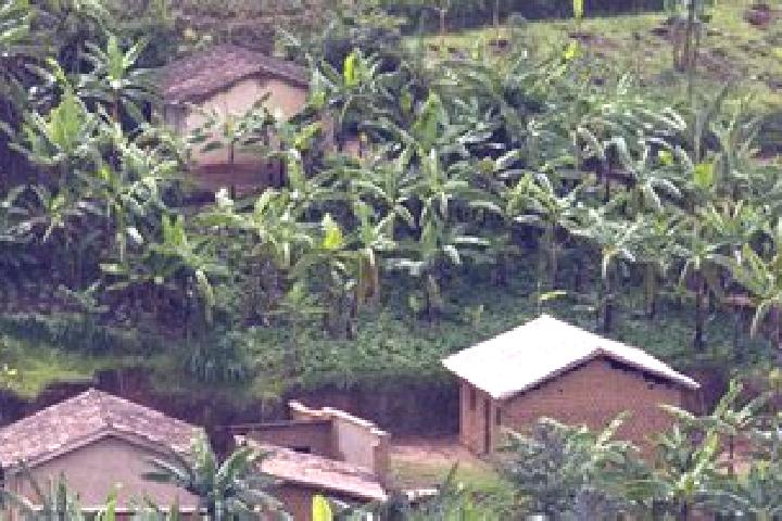 Hannah, 23 — Escort in Macuba, Rwanda