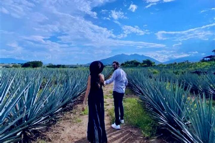 Hannah, 23 — Escort in Panuaya, Mexico