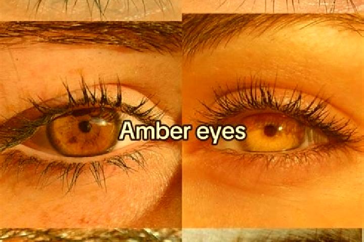 Hannah, 24, a chestnut amber-eyed middle eastern companion based in Attienkonankro. Offering Domination, Roleplay. Available for incall and outcall, day and ...