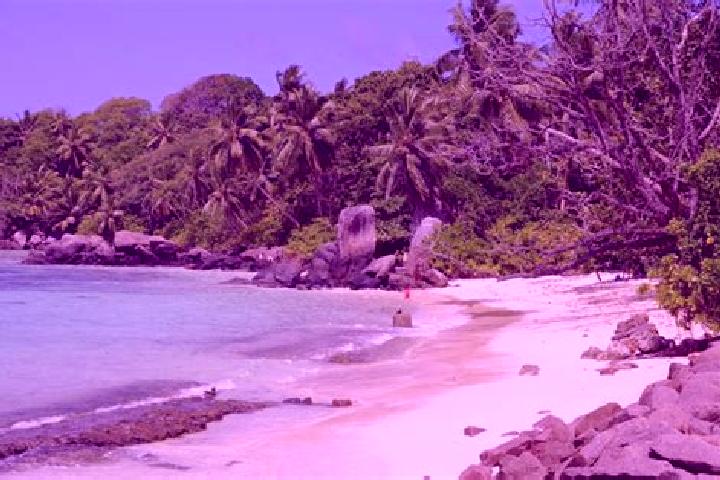 Hannah, 24 — Escort in Anse aux Pins, Seychelles
