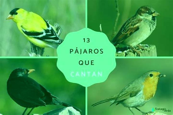 Hannah, 24 — Escort in Los Pajaros, Mexico