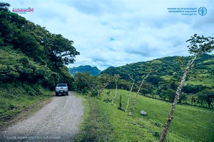 Hannah, 24 — Escort in San Jose de los Remates, Nicaragua