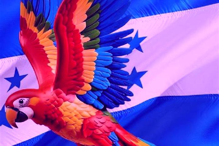 Hannah, 24 — Escort in Tikiraya, Honduras