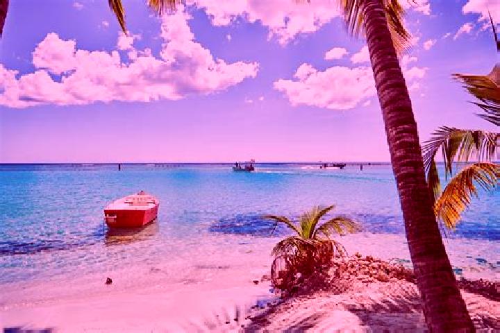 Hannah, 25, a auburn grey-eyed caribbean companion based in Santo Domingo Tonahuixtla. Offering BDSM, Tantra, A-Level, OWO. Available for incall and outcall,...
