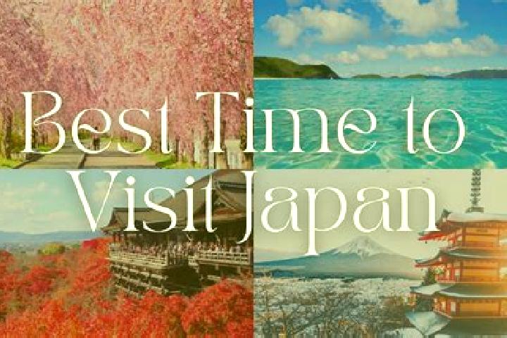 Hannah, 25 — Escort in Kuriyazawa, Japan