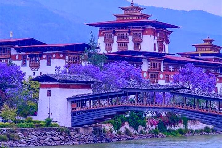 Hannah, 25 — Escort in Punakha, Bhutan