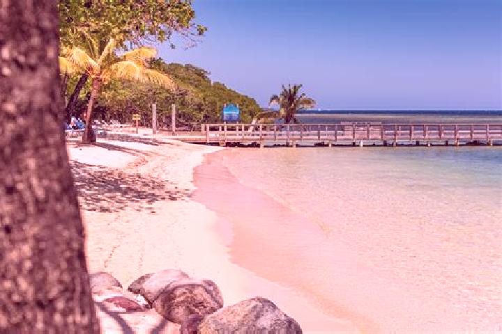 Hannah, 25 — Escort in Sandy Bay, Honduras