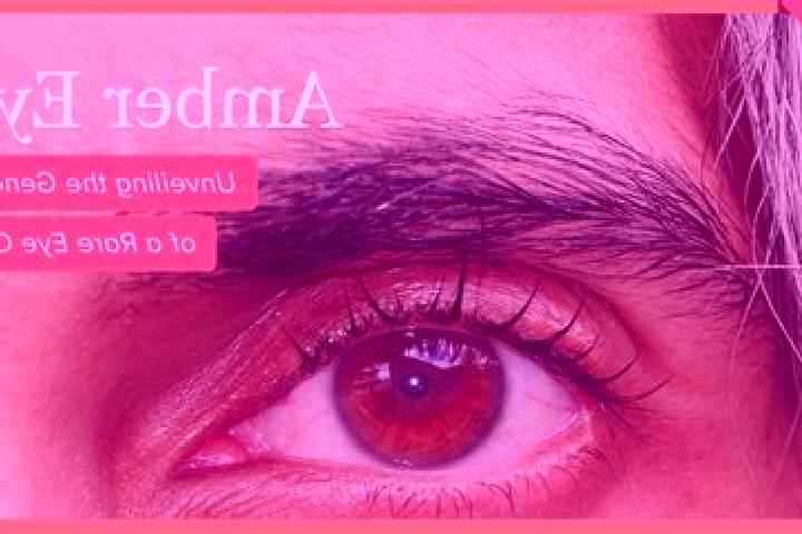 Hannah, 26, a red amber-eyed mediterranean companion based in Haishan. Offering Couples, Domination, Fetish. Available for incall and outcall, overnight book...