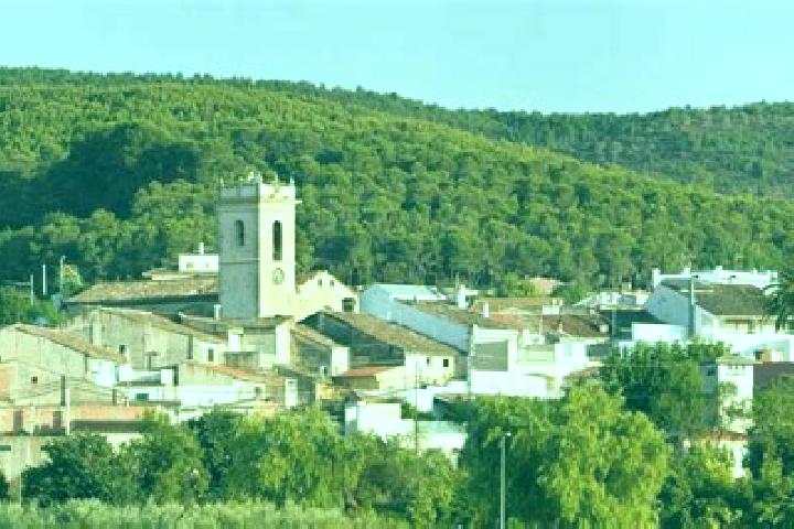 Hannah, 26 — Escort in Atzeneta d Albaida, Spain