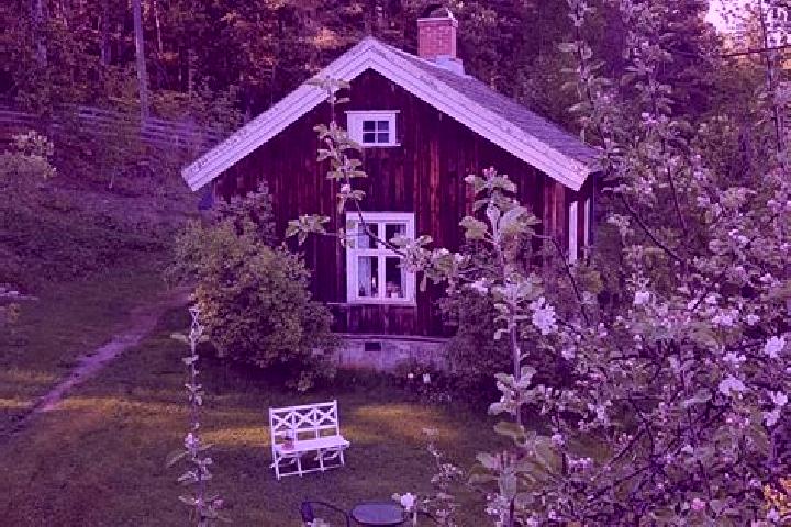 Hannah, 26 — Escort in Limmared, Sweden