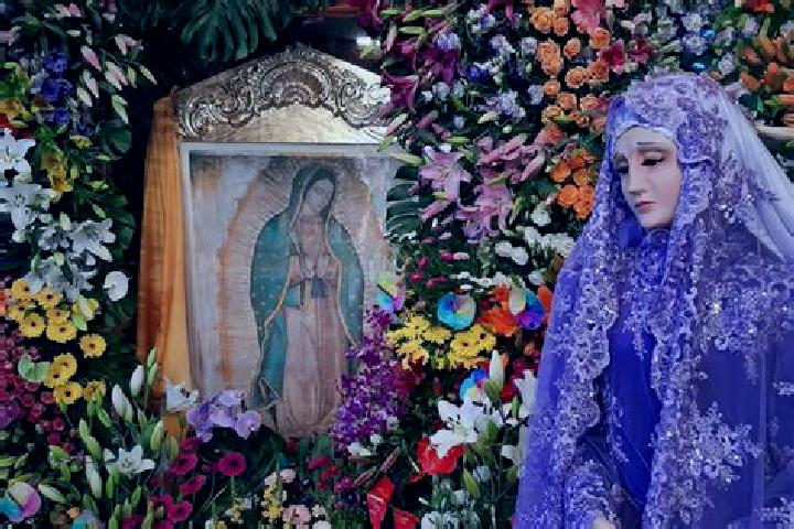 Hannah, 26 — Escort in Santa Ana Ixtlahuatzingo (Santa Ana), Mexico