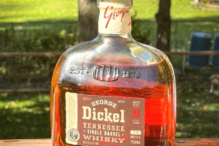 Hannah, 27 — Escort in Dickel, Germany