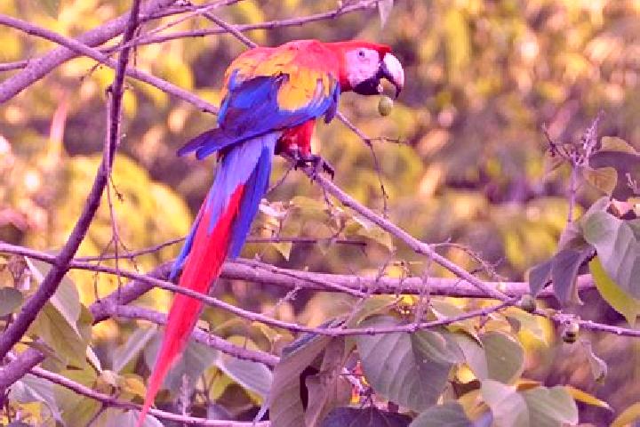Hannah, 28 — Escort in El Guacamayo, Colombia