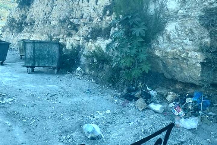 Hannah, 28 — Escort in Nahhalin, Palestine