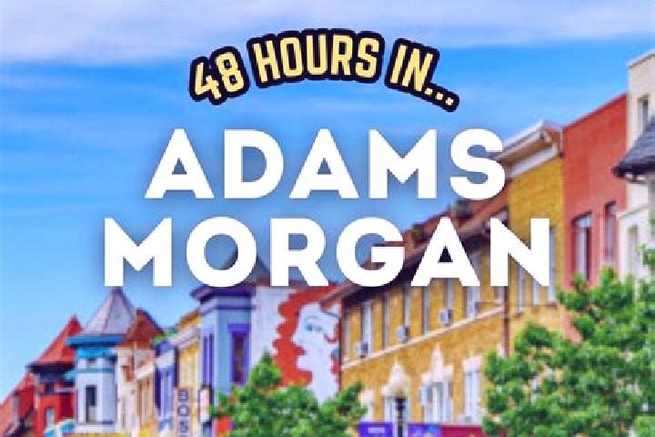 Hannah, 29 — Escort in Adams Morgan, United States