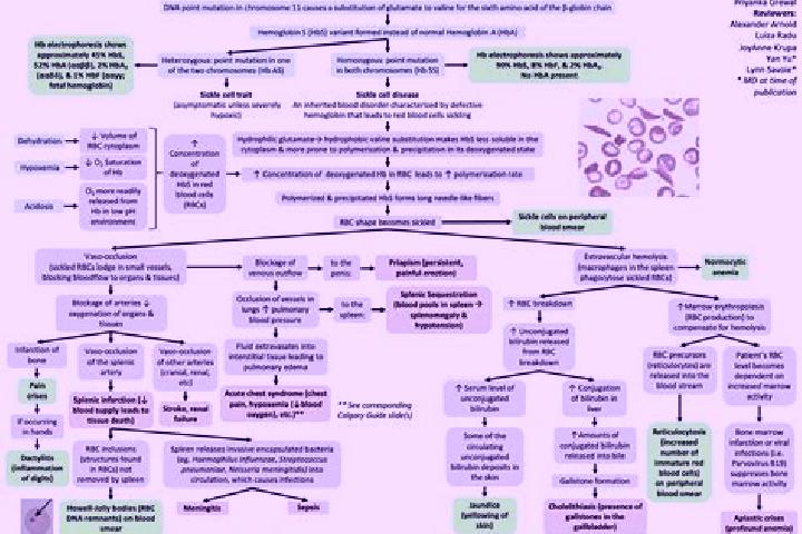 Hannah, 29 — Escort in Iguaraci, Brazil