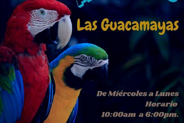 Hannah, 29 — Escort in Las Guacamayas, Mexico