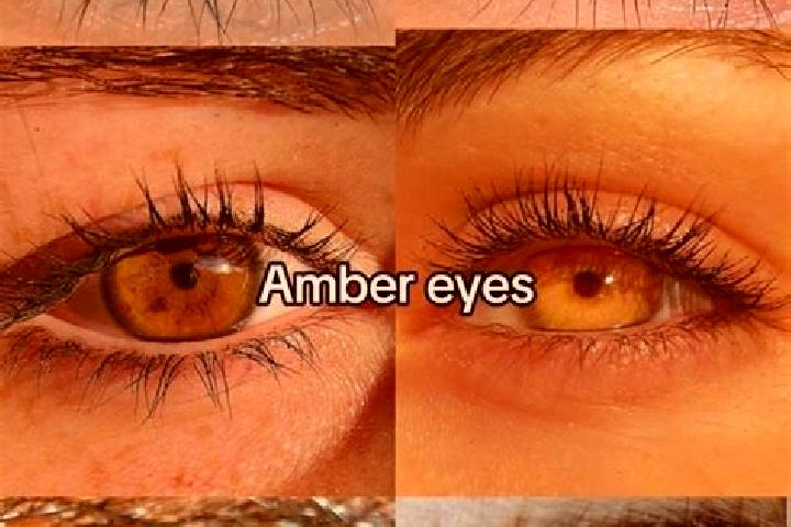 Hannah, 30, a chestnut amber-eyed mixed companion based in Legbourne. Offering Overnight, A-Level, Massage. Available for incall and outcall, overnight booki...