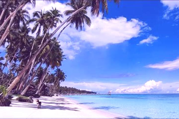 Hannah, 30 — Escort in Jolo, Philippines