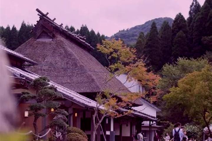 Hannah, 30 — Escort in Koishiwara, Japan