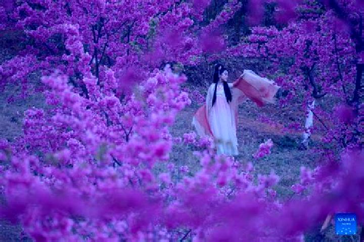 Hannah, 30 — Escort in Quchi, China