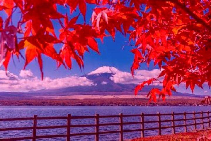 Hannah, 30 — Escort in Toyosato, Japan
