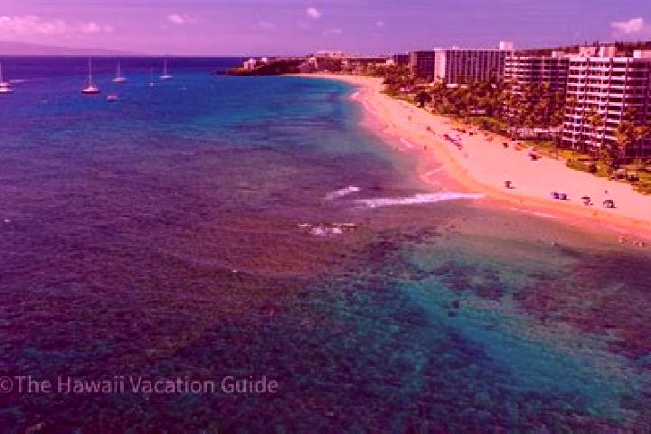 Hannah, 31 — Escort in Kaanapali Landing, United States