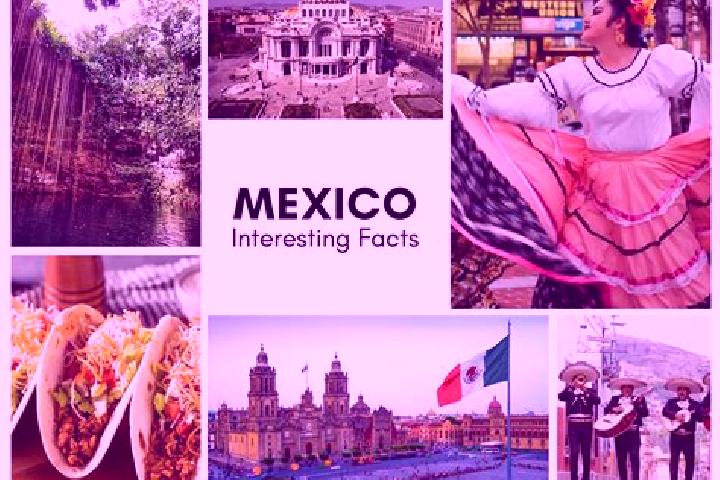 Hannah, 31 — Escort in La Roca, Mexico