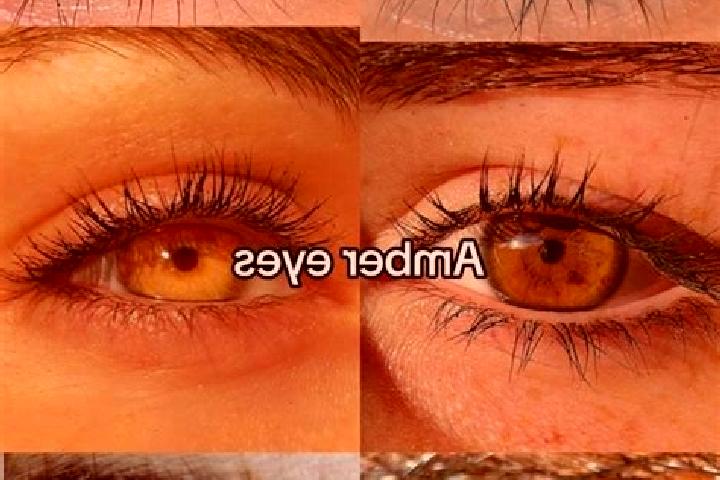 Hannah, 32, a brunette amber-eyed mixed companion based in Sambiase. Offering Tantra, Fetish, CIM. Available for incall and outcall, overnight bookings avail...