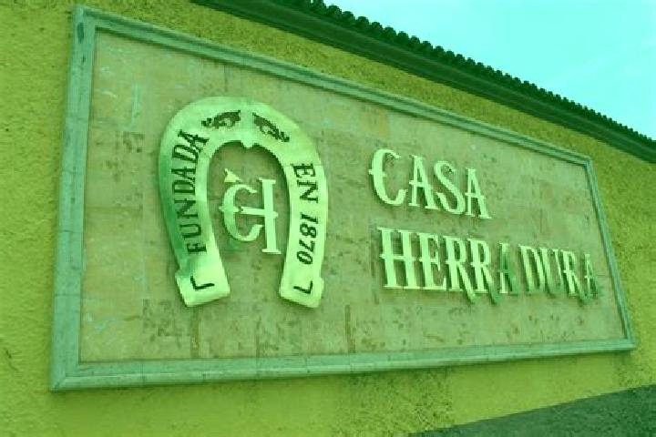 Hannah, 32 — Escort in Romulo Calzada (La Herradura), Mexico