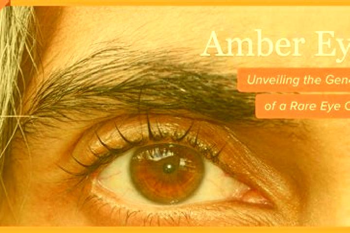 Hannah, 33, a black amber-eyed caribbean companion based in Kingsclere. Offering Roleplay, Tantra, Erotic Massage, 69, Domination. Available for incall and o...