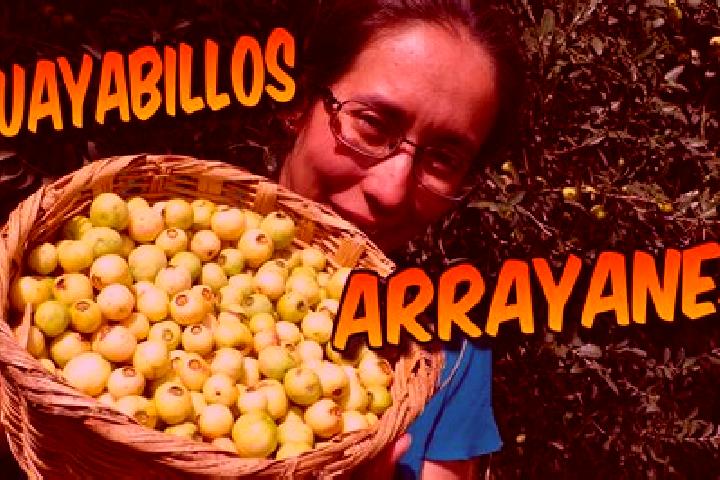 Hannah, 33 — Escort in El Arrayan, Mexico