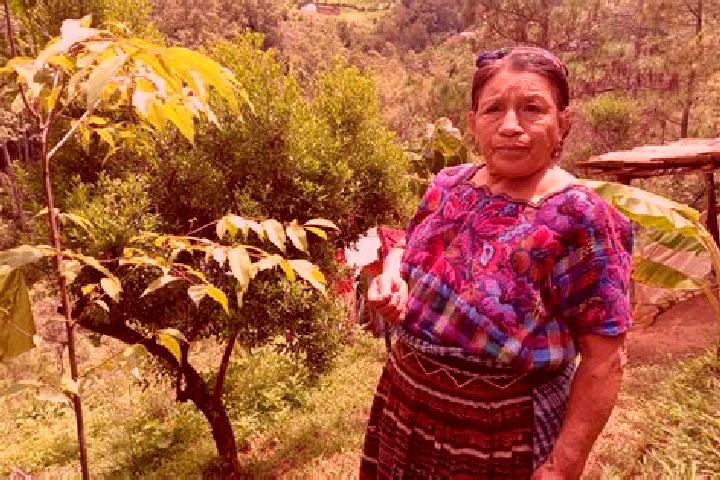 Hannah, 33 — Escort in Santa Maria Chiquimula, Guatemala