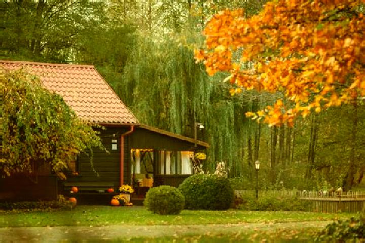 Hannah, 34 — Escort in Borow, Poland