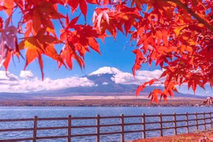Hannah, 34 — Escort in Kori, Japan