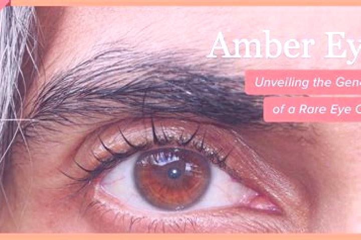 Hannah, 35, a black amber-eyed mixed companion based in Llano de Piedra. Offering A-Level, Striptease, BDSM, Deep French Kissing. Available for incall and ou...