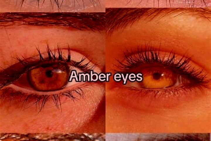 Hannah, 35, a brunette amber-eyed european companion based in Astara. Offering Duos, Dinner Date, Overnight. Available for incall and outcall, day and evenin...