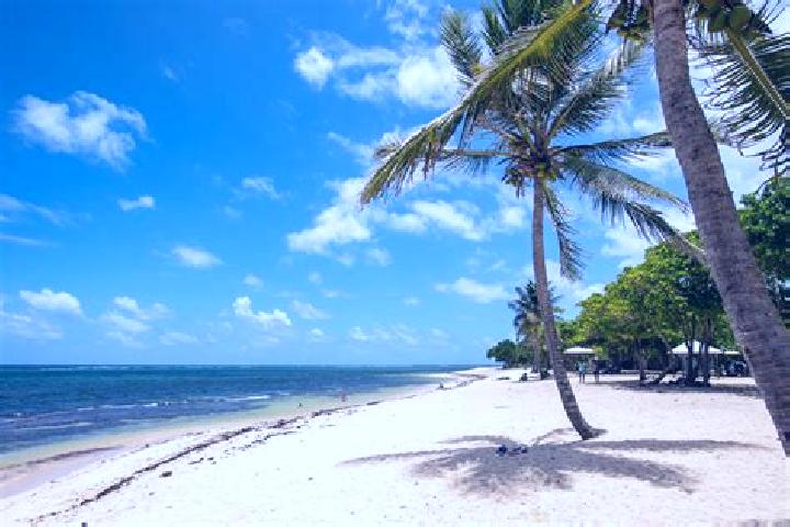 Hannah, 35 — Escort in Le Moule, Guadeloupe