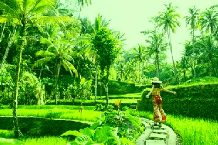 Hannah, 37 — Escort in Banjar Ubud, Indonesia