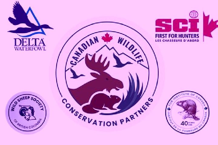 Hannah, 37 — Escort in Conservation, Canada