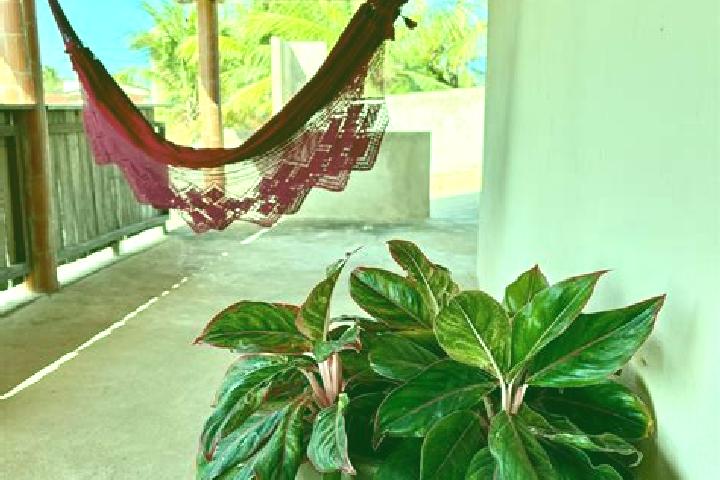 Hannah, 37 — Escort in Moita Bonita, Brazil