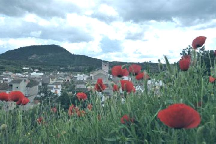 Hannah, 38 — Escort in Bicorp, Spain