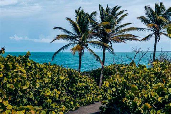 Hannah, 38 — Escort in Coco, Puerto Rico